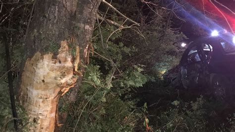Maine man killed by tree during height of storm